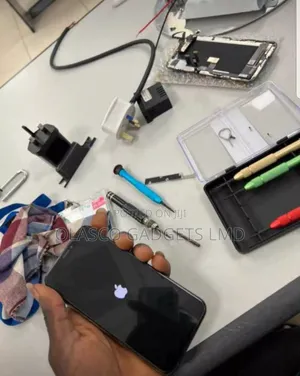 Apple Service