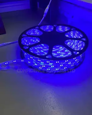 Led Rop Light for Your Homes Decor
