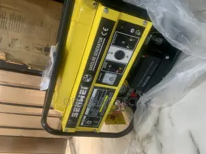Senwei 4.5kva / Sv6200e2 Very Unique Generator