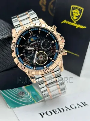 Poedagar Automatic Chronograph Wristwatch