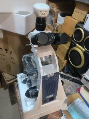 Compound Microscope