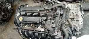 Hyundai Elantra or Thompson 2017.