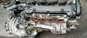 Hyundai Elantra or Thompson 2017.