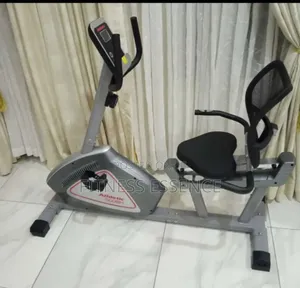 Big Commercial Lazy Bike