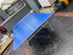 Indoor Table Tennis Board