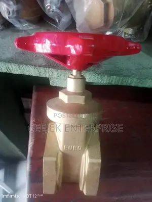 3" Gate Valve