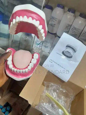 The Human Tongue Model
