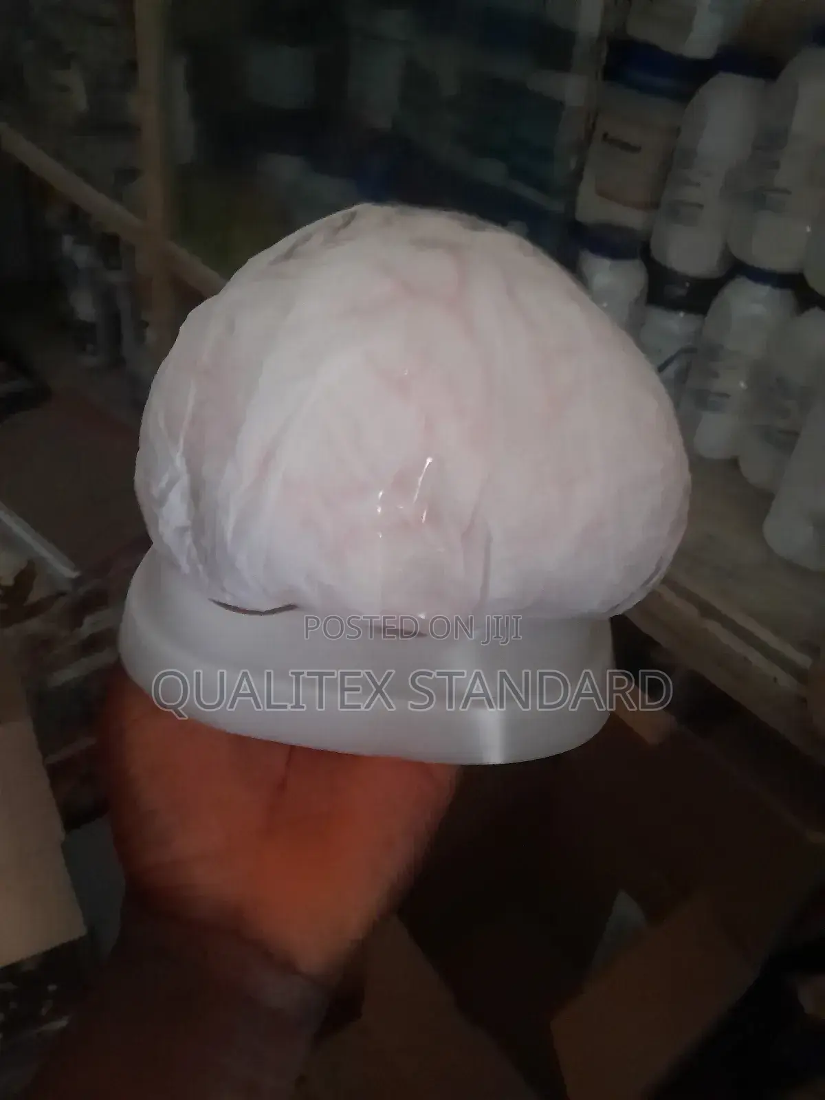 The Human Brain