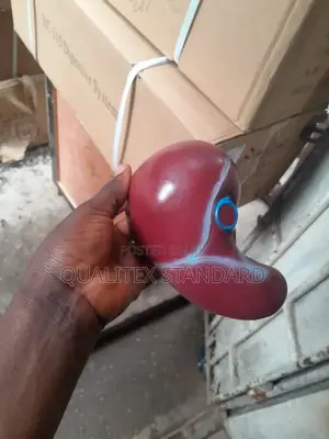 The Human Liver