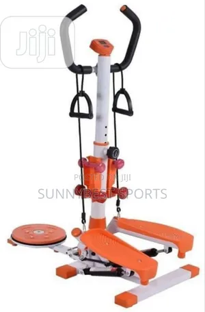 Standing Stepper With Twister