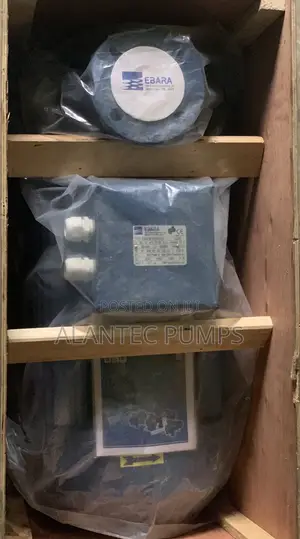 Ebara Surface Pump