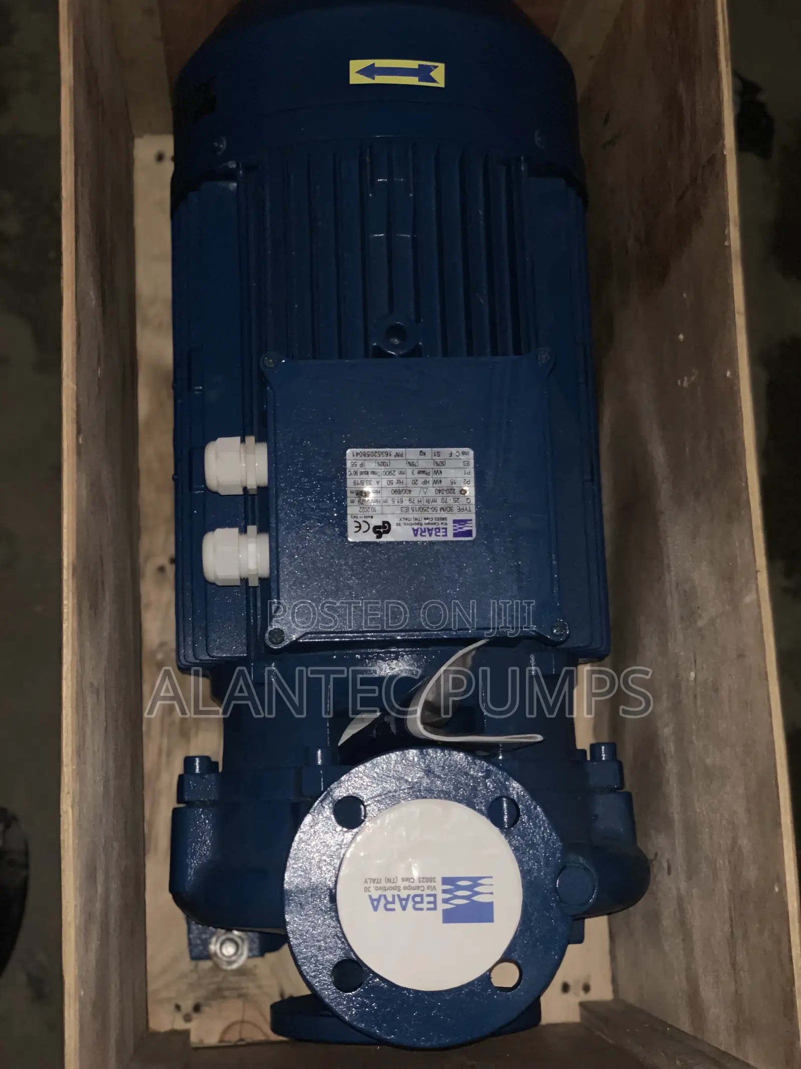 Ebara Surface Pump