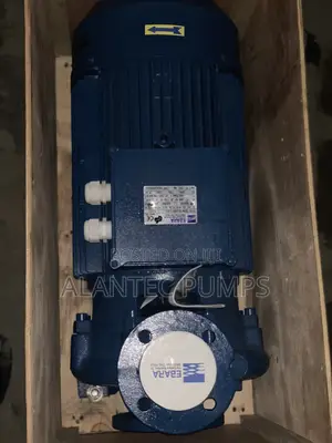 Ebara Surface Pump