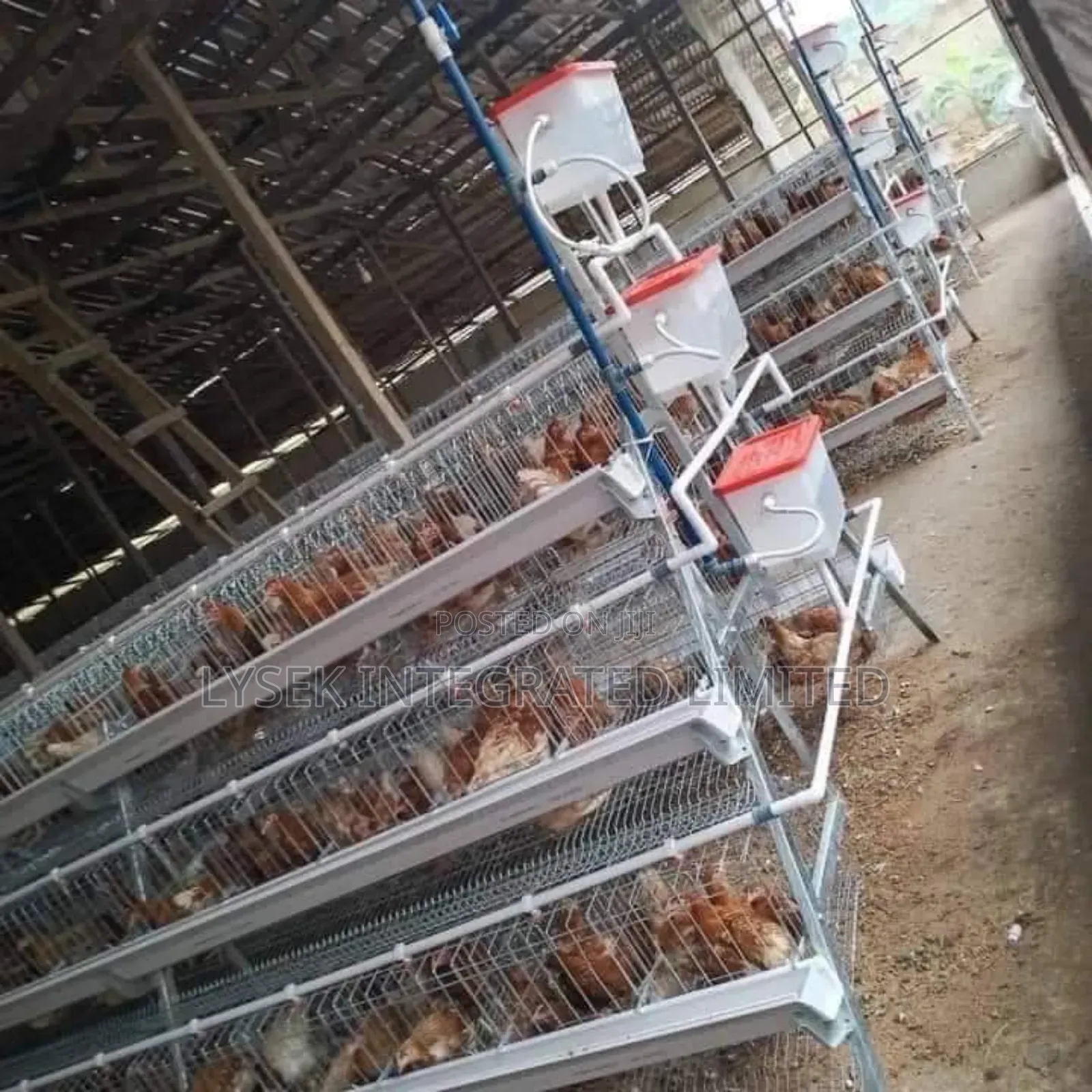 Cage Automatic Foreign