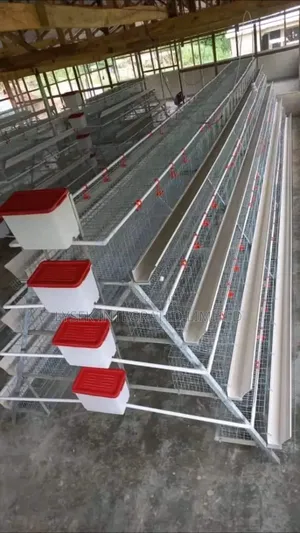 Cage Automatic Foreign