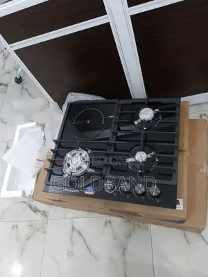 Top Selling Polystar Inverter 3+1 Electric Gas Burner