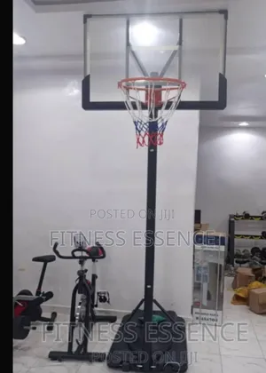 High Standard Basketball Stand