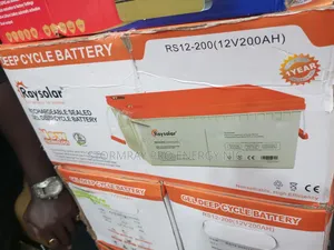 Raysolar Dry Cell Battery