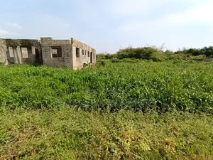 Half Plot of Land