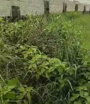 Genuine Dry Land of 100 by 100 Behind S.A Olutu Osubi/Ugolo.