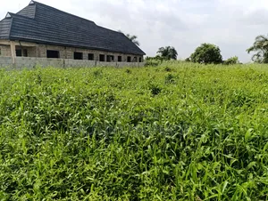 Half Plot of Land to Be Cut Out