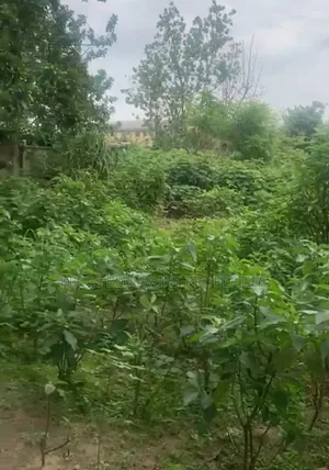 100 By 100 Land For Sale At Osubi Warri Delta State.
