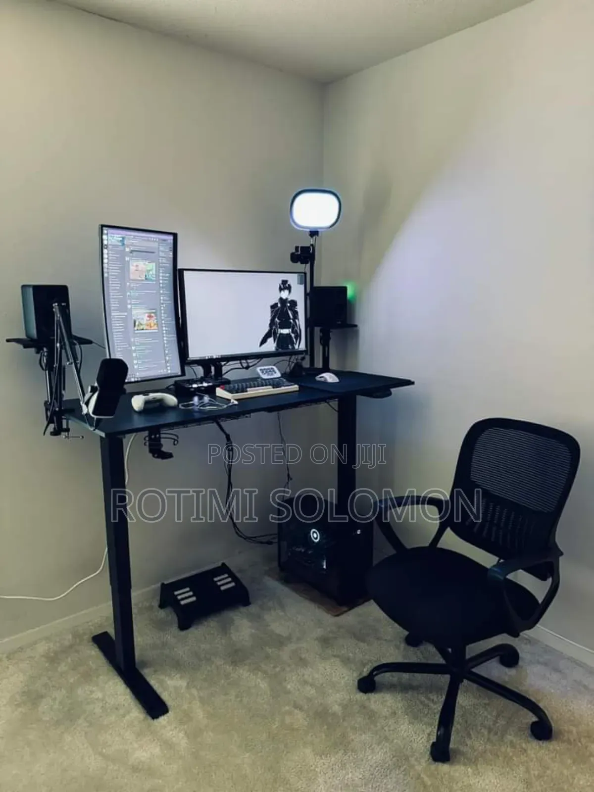 Wordpress Developer