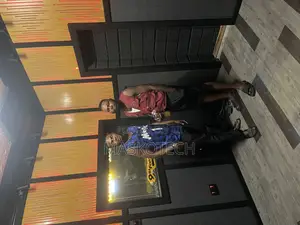 Acoustic Panels and Diffusers in Abuja