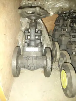 Steam Flange Gate Valve