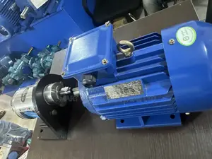 Gear Transfer Pump Stainless Type