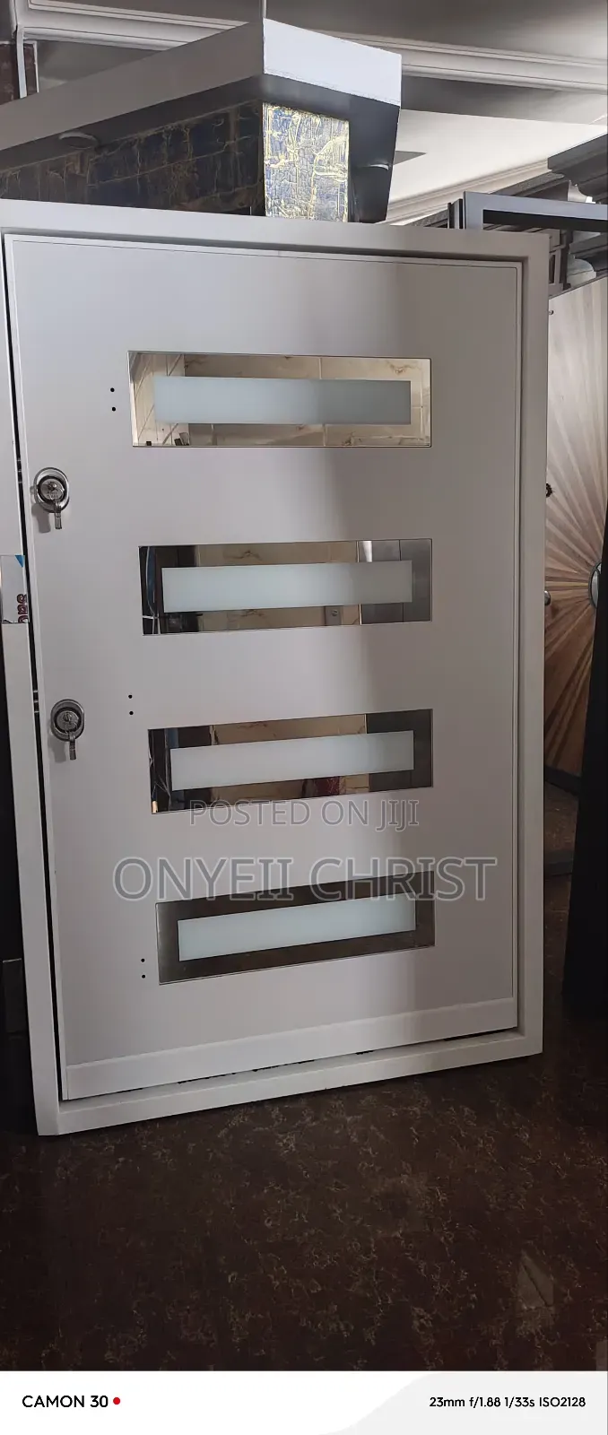 Pivot Security Door White