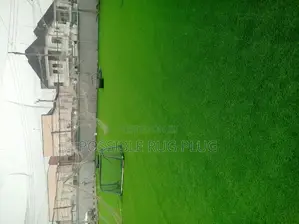 Synthetic Turf