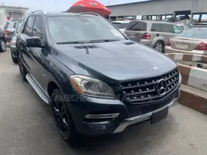Mercedes-Benz M Class 2015 Gray
