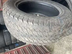 265/65/17 Tire Lough Teeth