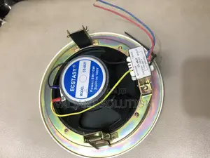 Ceiling Speaker