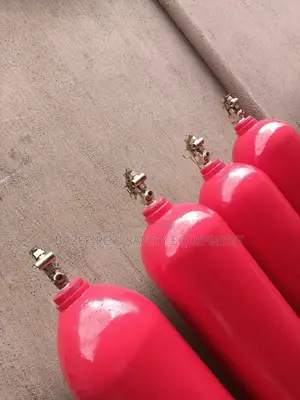 Automatic CO2 Fire Extinguisher
