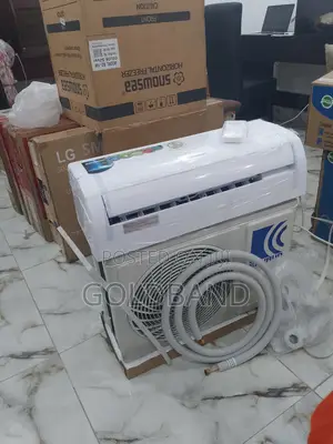 Skyrun 1hp Spilt Inverter Functional Air Conditioner