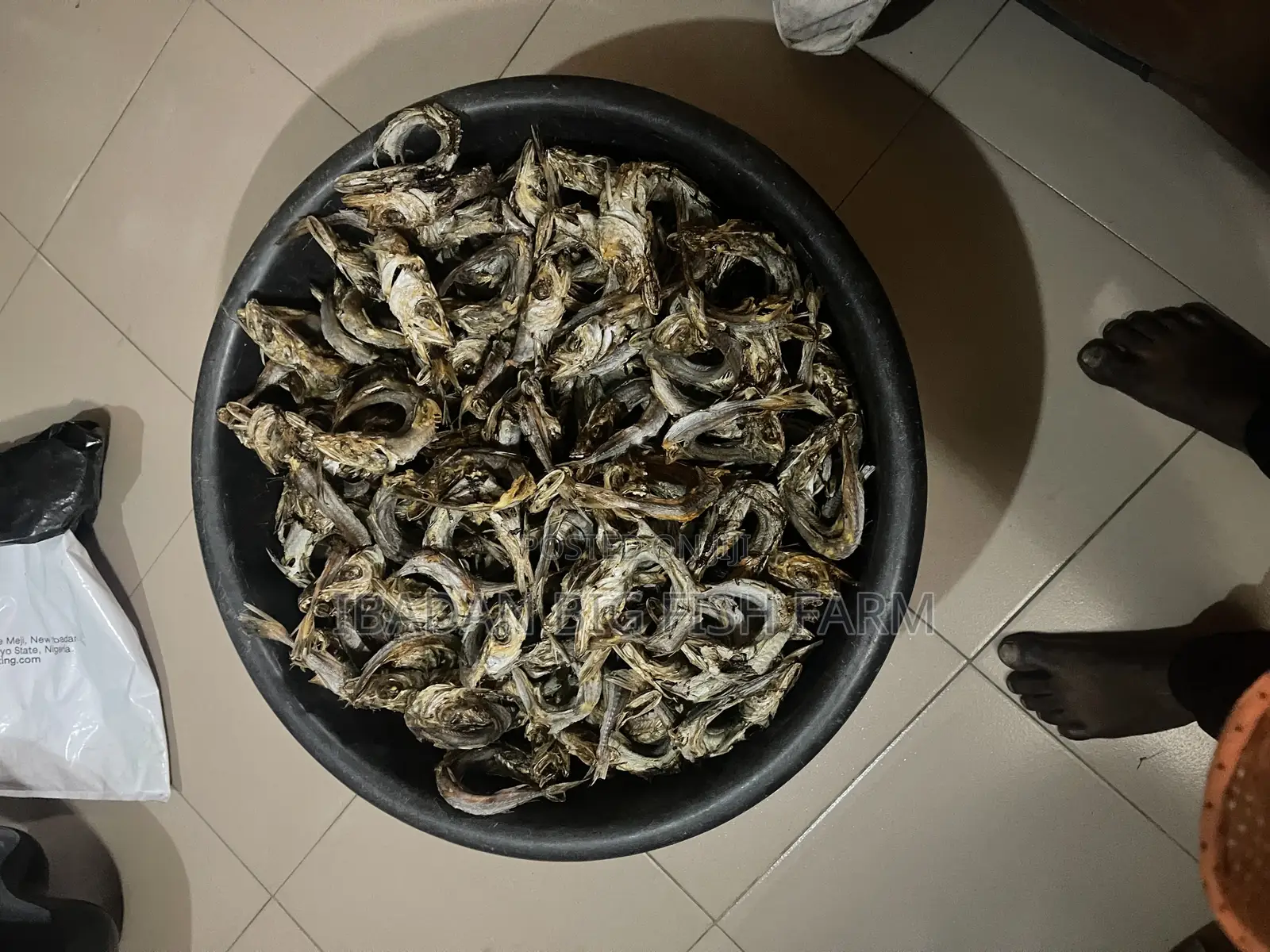 Grill Snail (Oven-Dried)