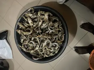 Grill Snail (Oven-Dried)
