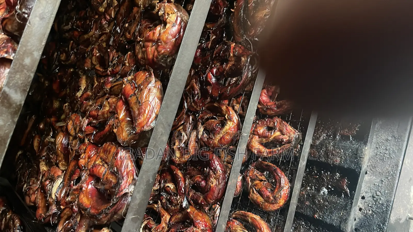 Grill Snail (Oven-Dried)