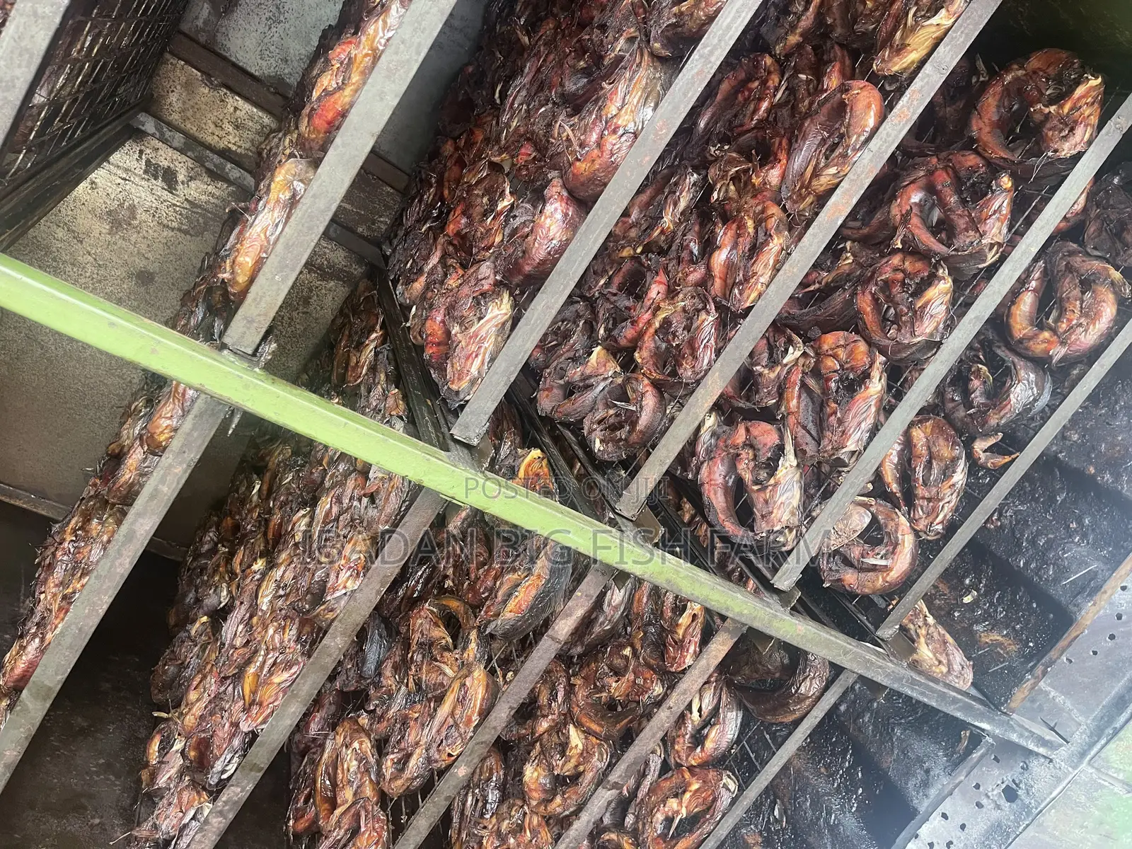 Grill Snail (Oven-Dried)
