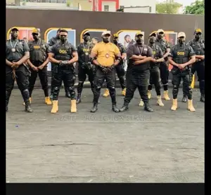 Bouncers And Security Guards