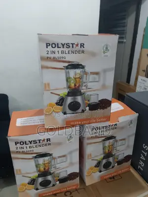 Best Market Polystar 1.5L 2in1 Blender Pv-Bl509g