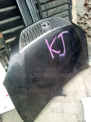 Lexus RX 330 Bonnet 07