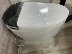 Sensor Water Closet