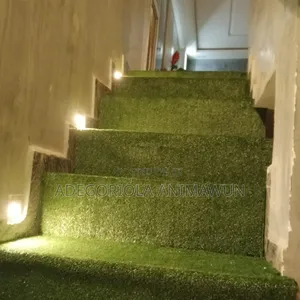 Photo - Premium Grass
