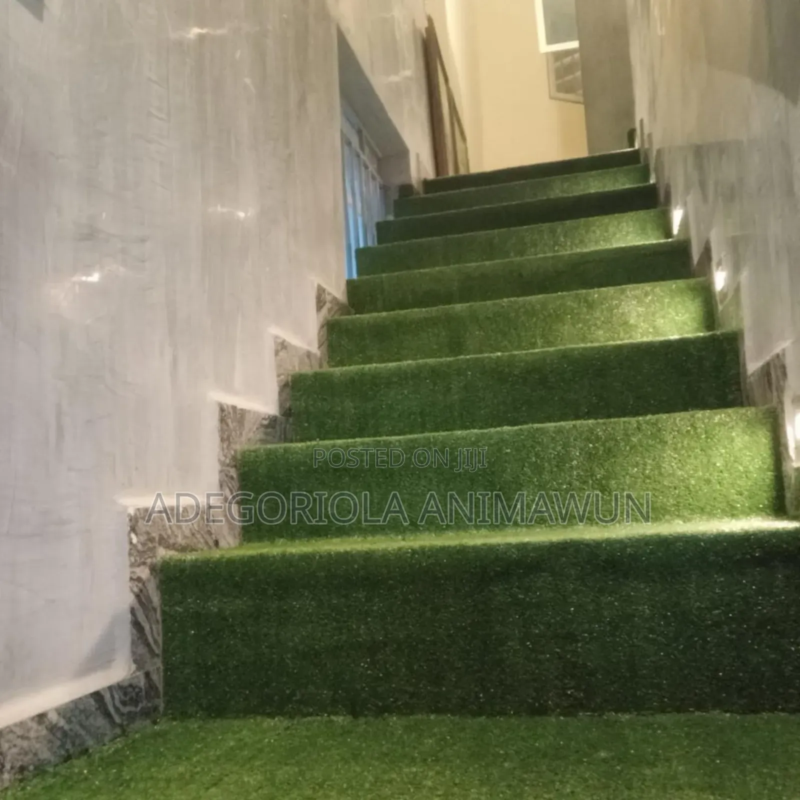 Premium Grass