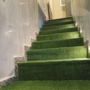 Premium Grass