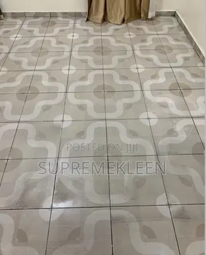 Detailed Cleaning /House Cleaning Service.
