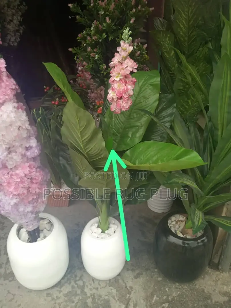 Quality Flowers